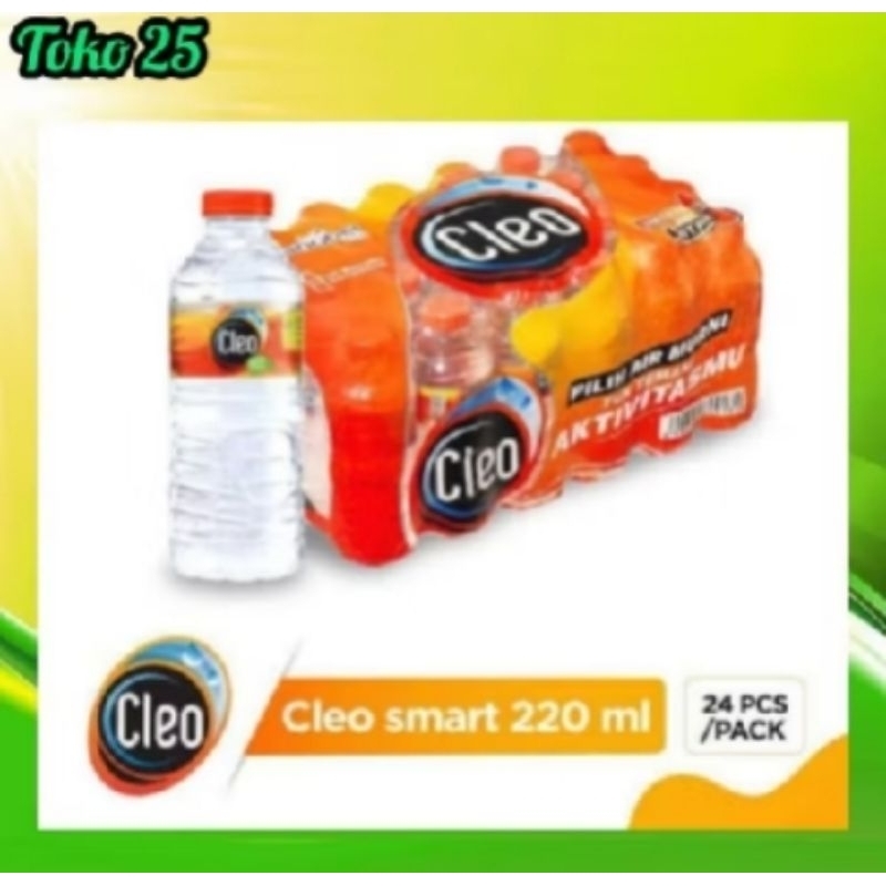 

Cleo Air Mineral 1 Dus 220×24