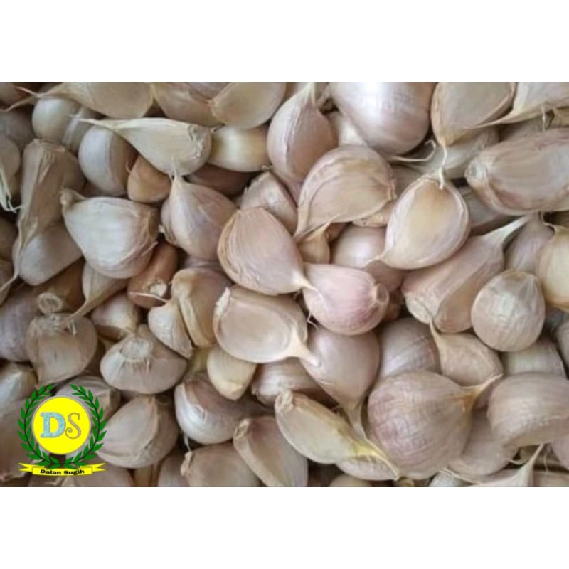 

Bawang Putih Kating Bersih 500 gr