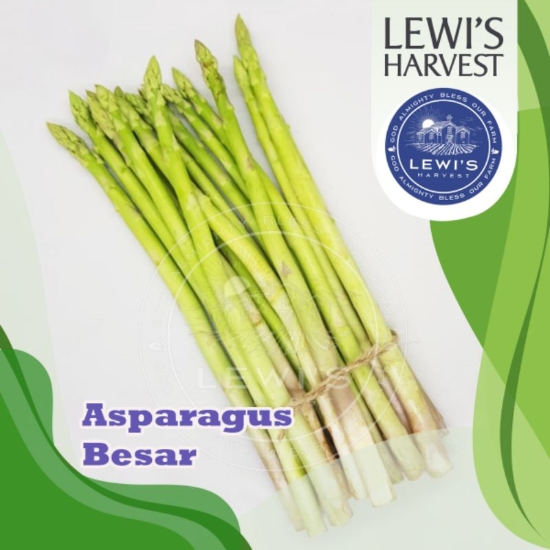 

ASPARAGUS BESAR 250 gram