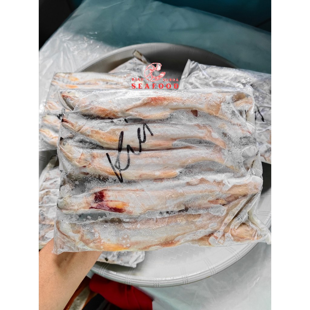 

Ikan Senangin Segar Beku/Ikan Kuro Frozen Isi 10-11 Ekor Kecil Per 1kg