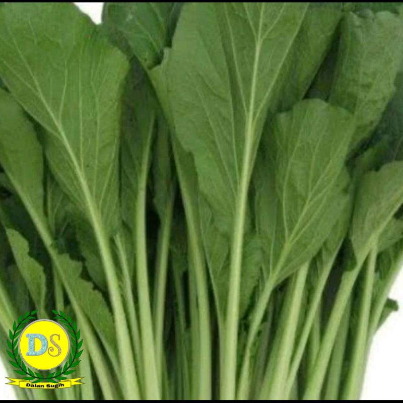 

Sawi Hijau Caisim 500 gr