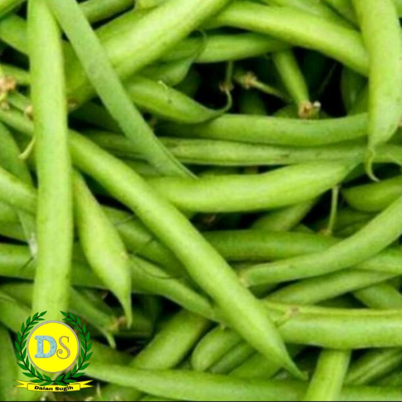

Buncis 500 gr