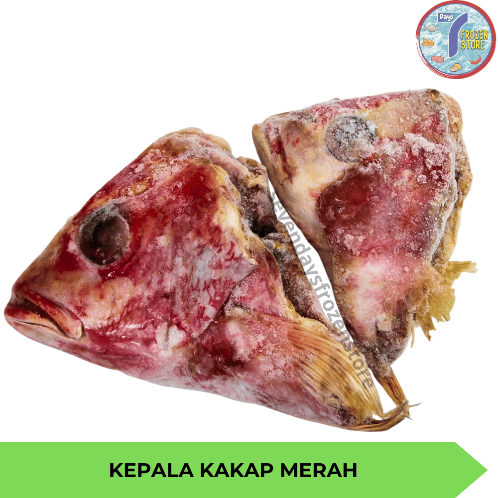 

Kepala Ikan Kakap Merah Beku Frozen