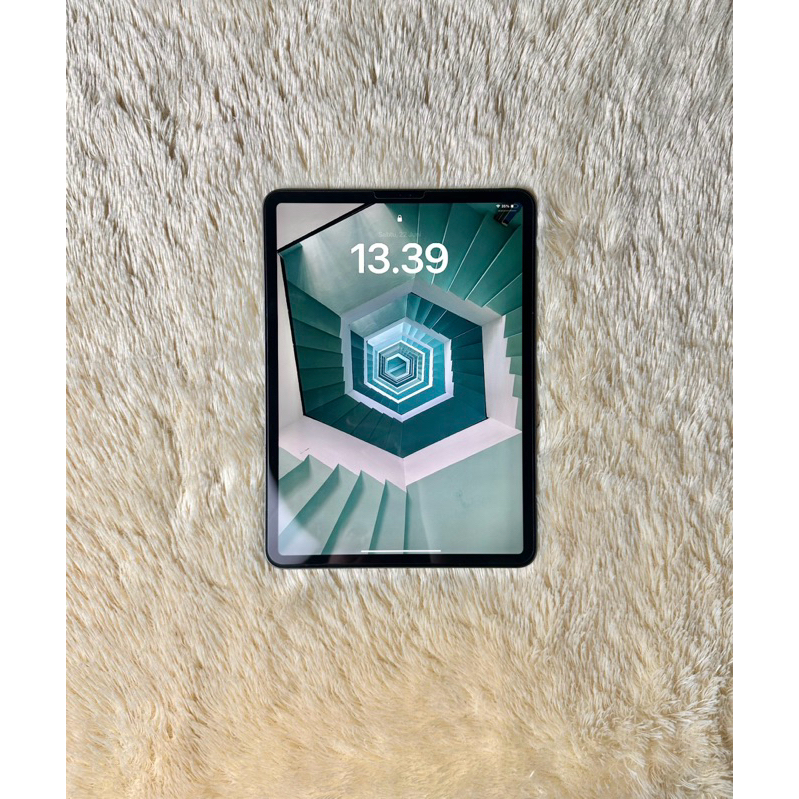 iPad Pro 2018 256GB Rare Condition + Free Zugu premium case