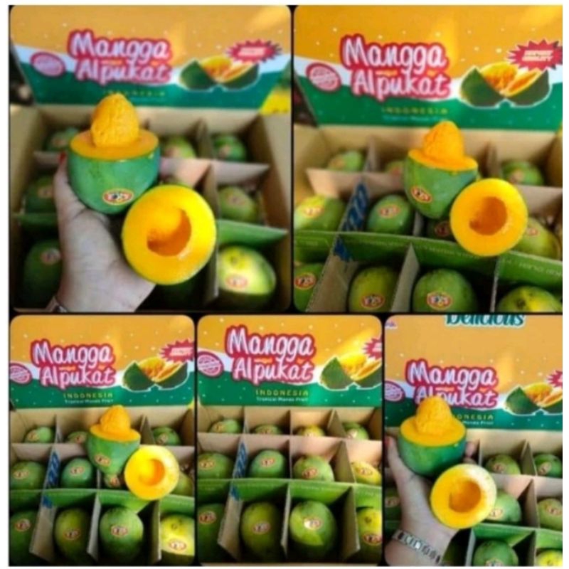 

buah mangga alpokat/dus isi -+10kg
