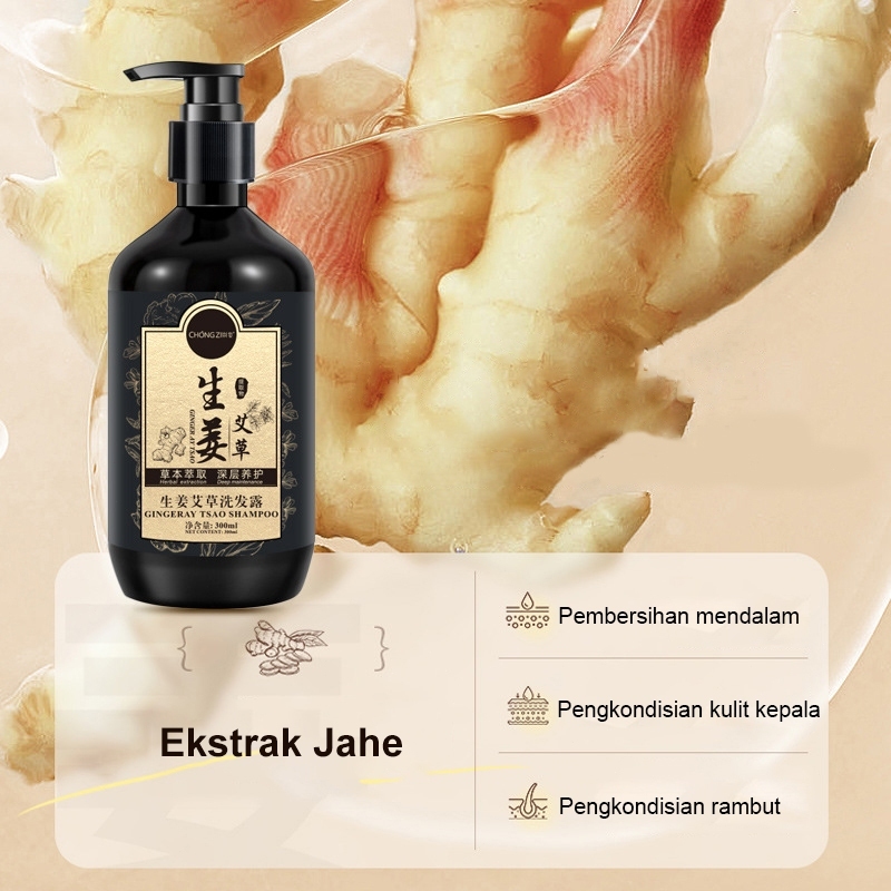 Sampo anti ketombe sampo kutu rambut obat kutu rambut 300ml Jahe dan Apsintus sampo anti ketombe Mer