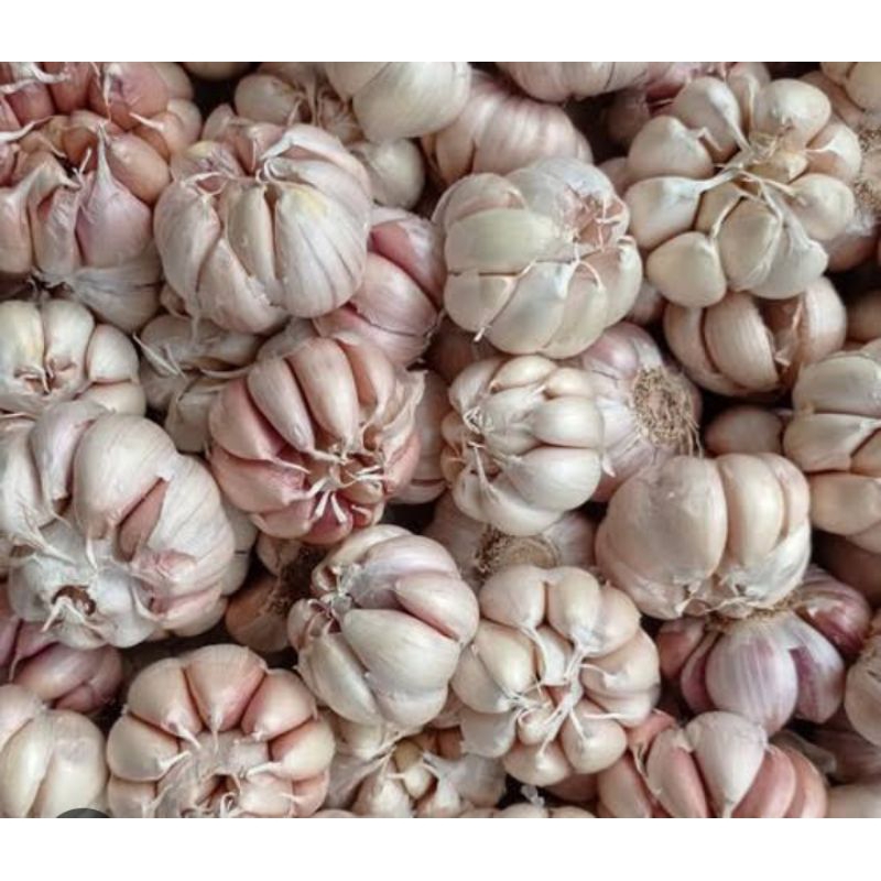 Bawang Putih 1 kg