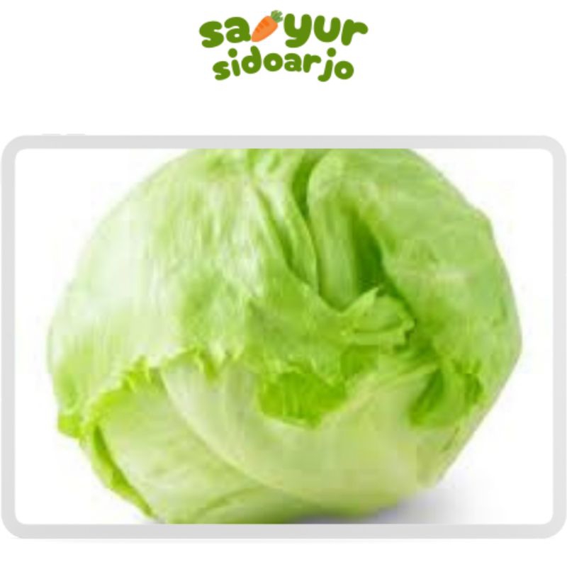 

Lettuce 500g sayursidoarjo
