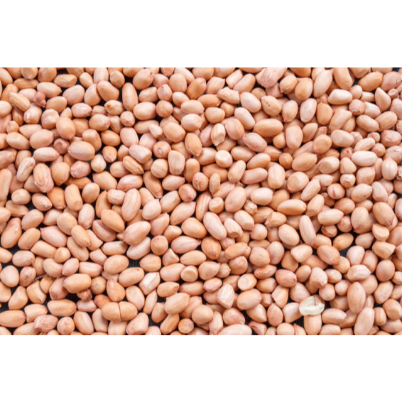 

KACANG TANAH 100gr - NARASA