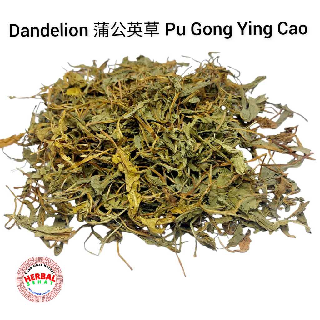 

Pu Gong Ying Cao 100 Gram 蒲公英草 Dandelion Kering / Dandelion Herbal