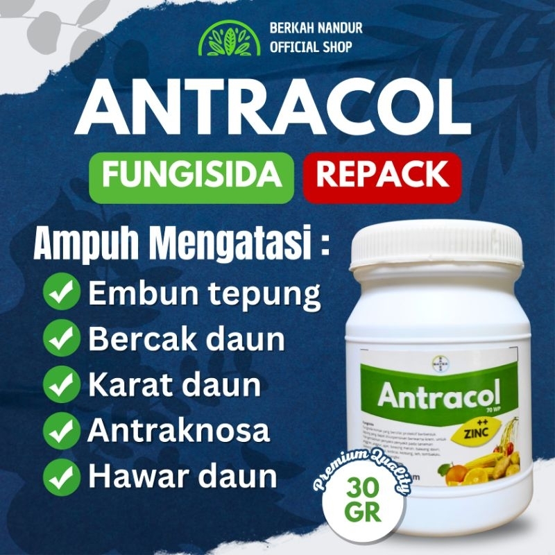 Repack Fungisida Antracol Repack 30gr Fungisida Tanaman