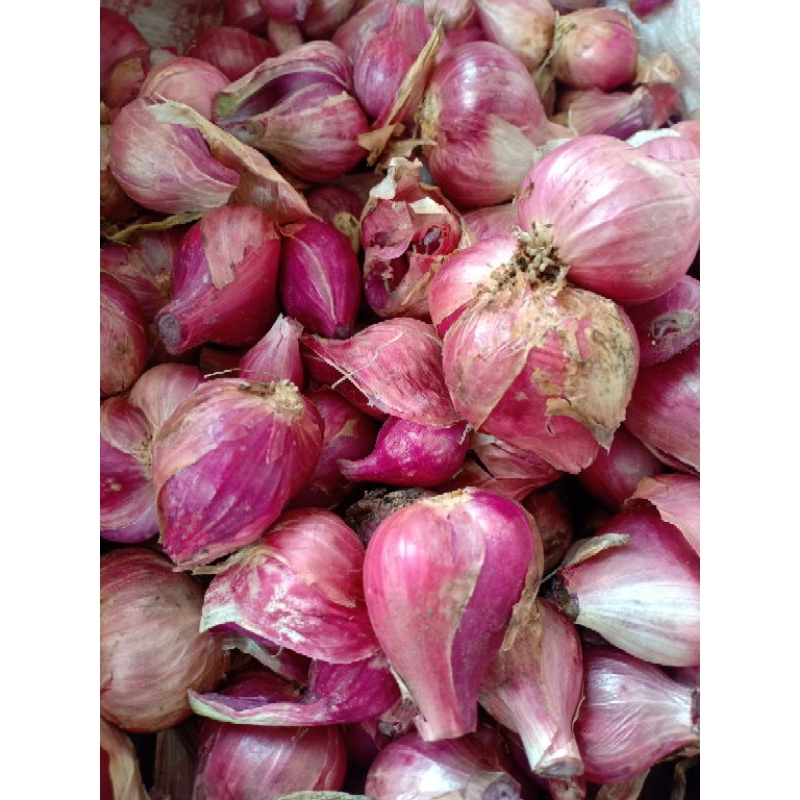 

Bawang merah 1 kg