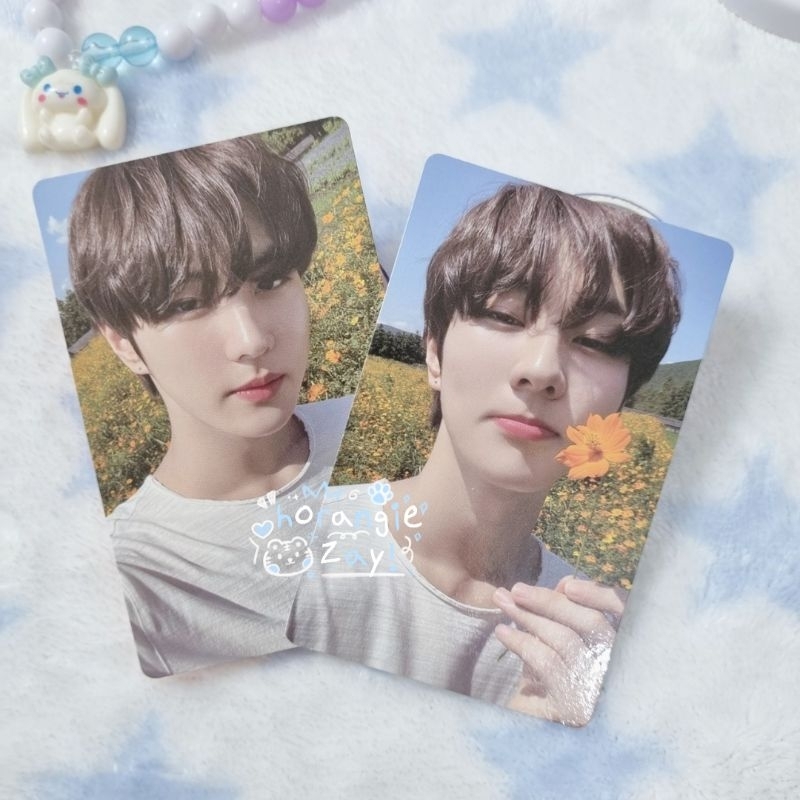 Official Photocard Enhypen Orange Blood Selca Ver Jake Jay Sunoo Sunghoon Jungwon Heesung Niki Ob Al