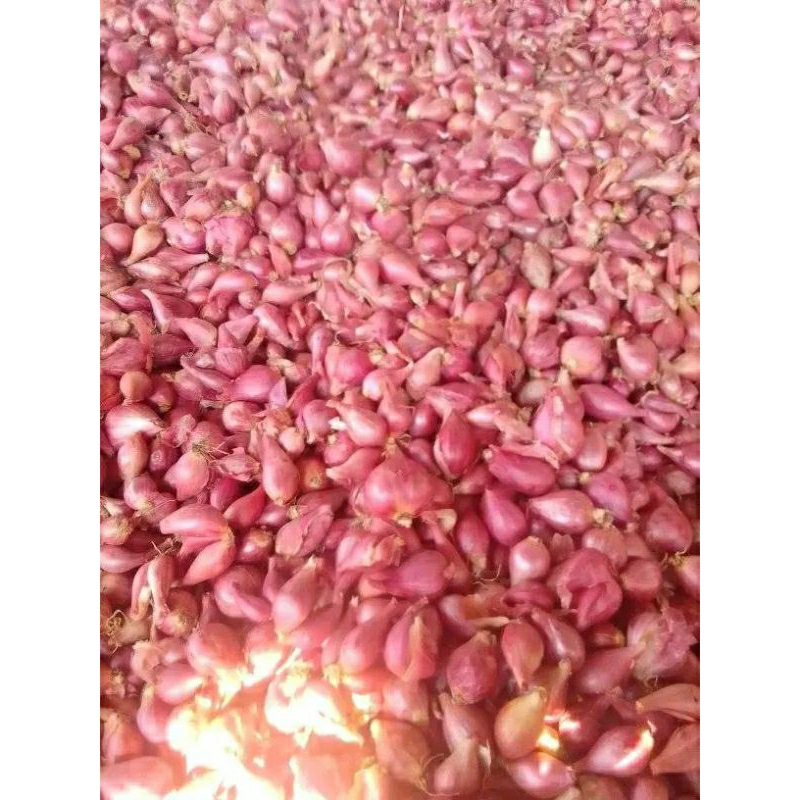 

bawang merah kecilan 1000 grm