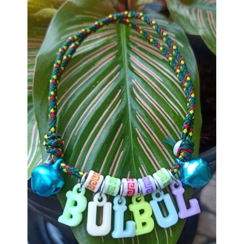 Kalung Kucing custom Nama, Kalung nama kucing, kalung kucing murah
