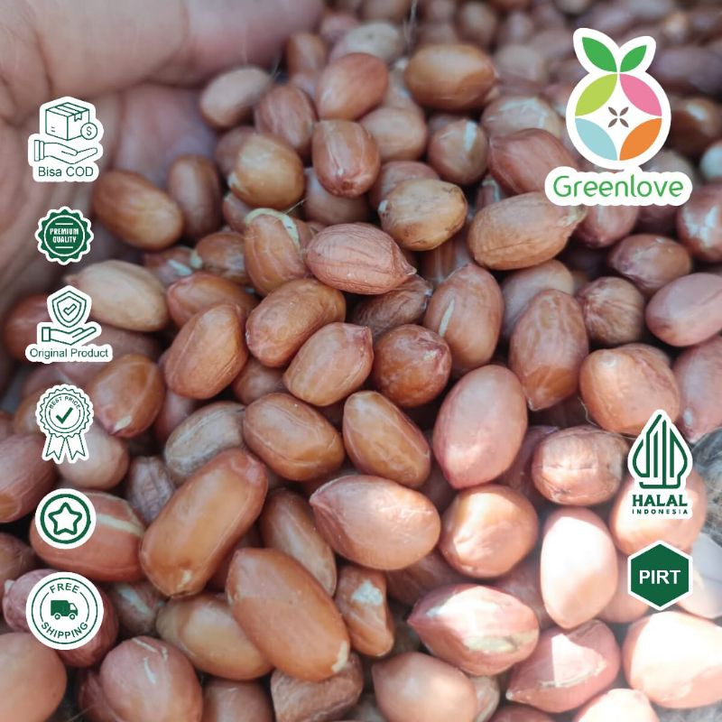 

kacang tanah Grade A ukuran besar sortir tangan// size 1 kilo// kacang pecel // kacang kulit ari // kacang kulit