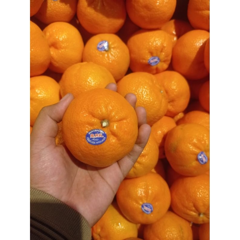 

BUAH JERUK AFOURER AUSTRALIA MANIS TANPA BIJI 1 KG