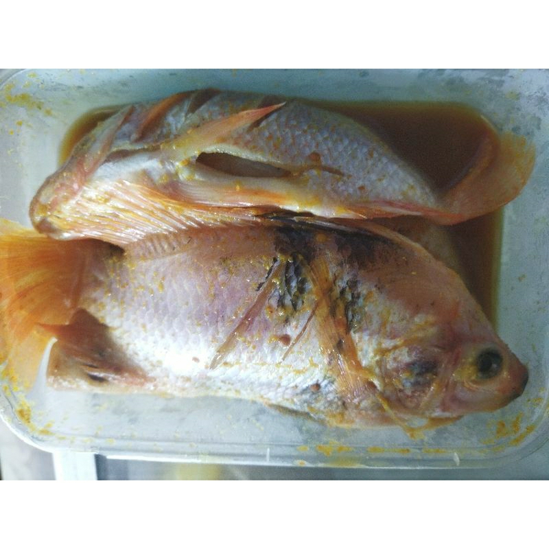 

Ikan Nila Marinasi 400 gr