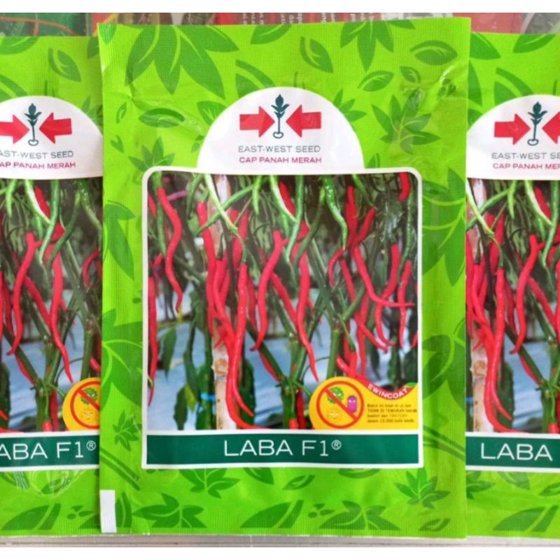 bibit cabai keriting laba F1 1750 butir