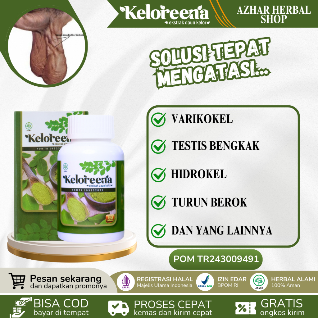 Keloreena - Obat Varikokel, Varikokel di buahzakar, BuahZakar Bengkak Sebelah Hidrokel Testisbengkak