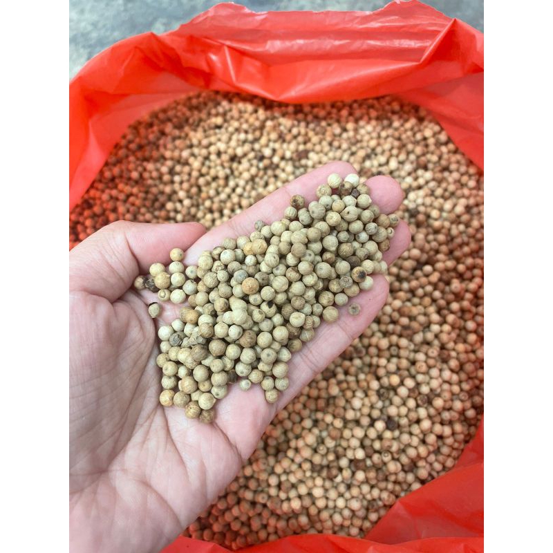 

Lada Putih Bulat 100gram 500gram