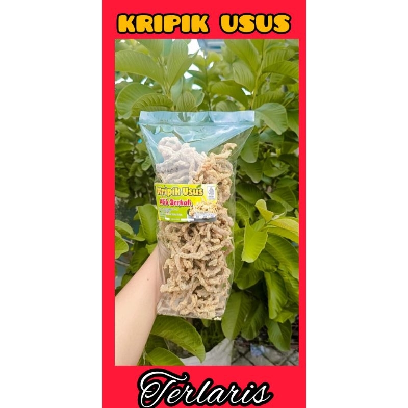 

KRIPIK USUS