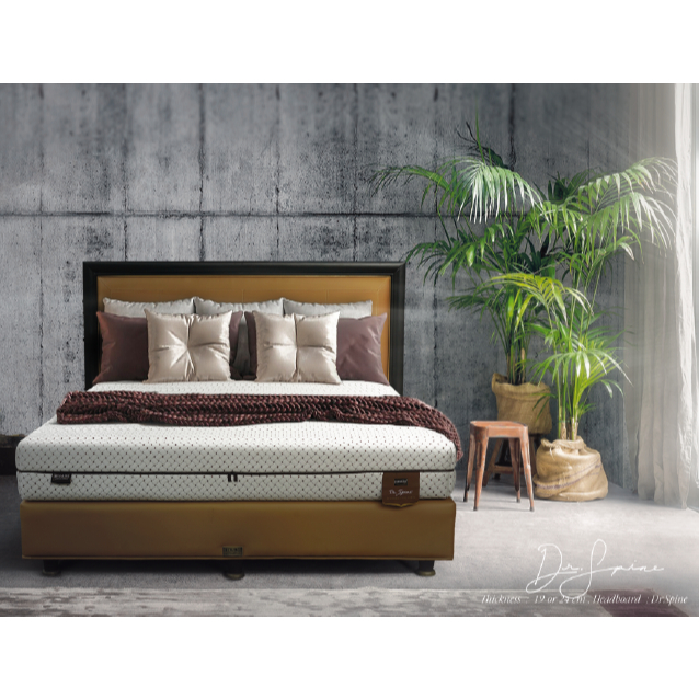 Springbed Dreamline tipe Dr. Spine