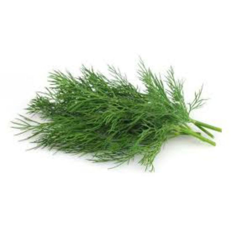 

daun dill 250gram