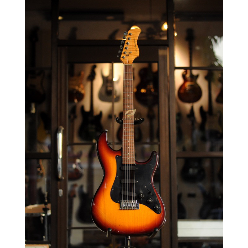 gitar electric dame neoclasicalism stratocaster original sunbursr