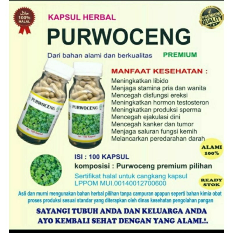 purwoceng isi 100 kapsul,meningkatkan stamina pria