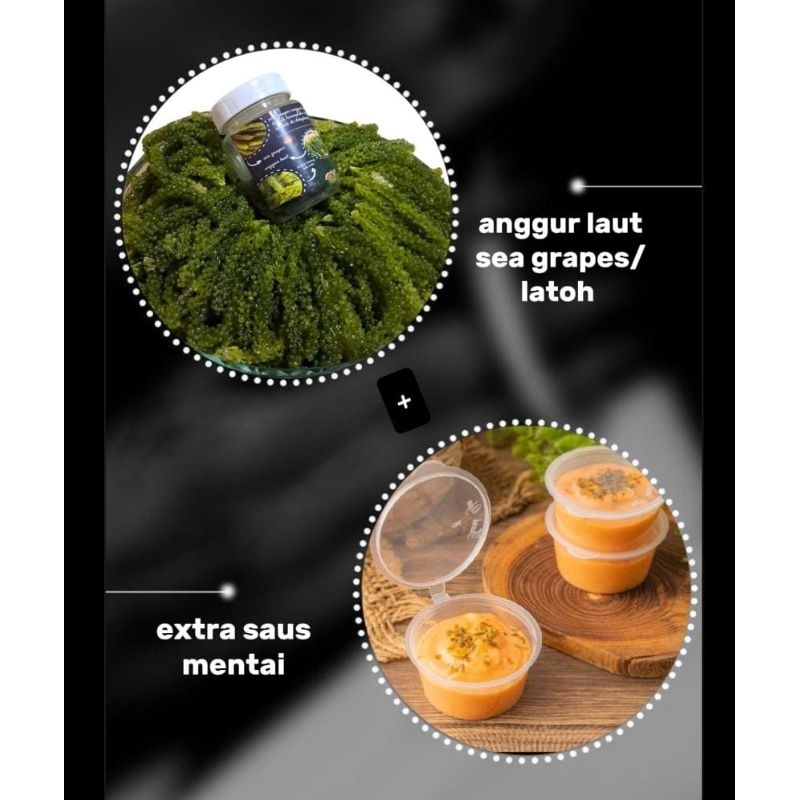 

Anggur laut Exsta saus mentai /Lukuk lumai /latoh latoh /green caviar/ deyhidrated sea grapes 50gram