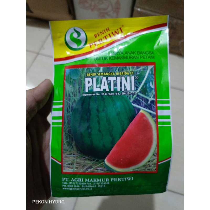 BENIH SEMANGKA NON BIJI PLATINI F1 20 GRAM KEMASAN PABRIK PERTIWI