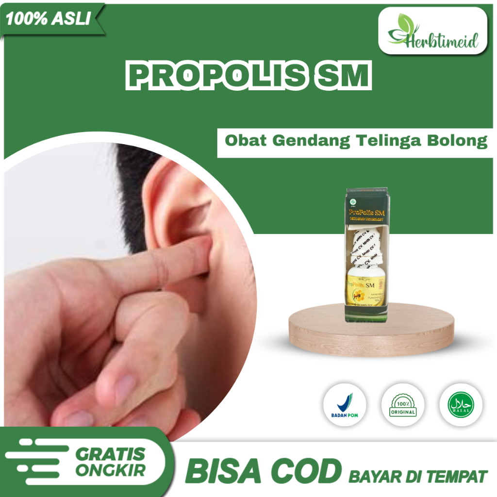 Obat Tetes Gendang Telinga Bolong / Pecah - Propolis Sm