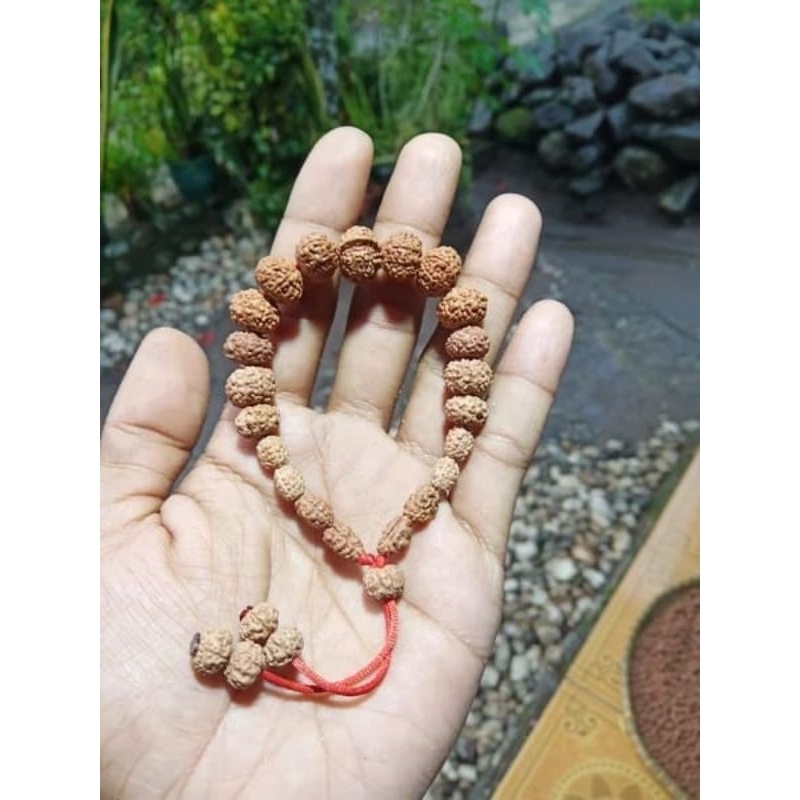 JENITRI RUDRAKSHA MUKHI 1_10 ORIGINAL