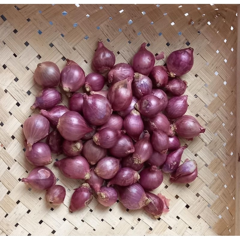 

Bawang Merah CAMPUR ( KECIL + SEDANG ) / Bumbu Penyedap rasa / bisa COD