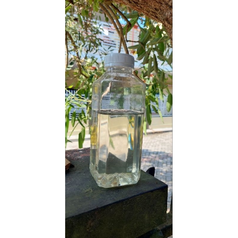 

Madu Kelulut/Trigona Putih 1kg