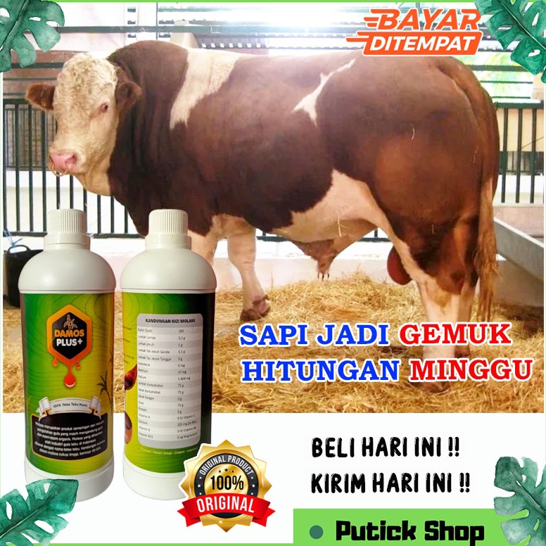 KODE C92E MOLASE TETES TEBU PENGGEMUK SAPI DAMOS PLUS PENGGEMUK SAPI VITAMIN KAMBING VITAMIN SAPI OB