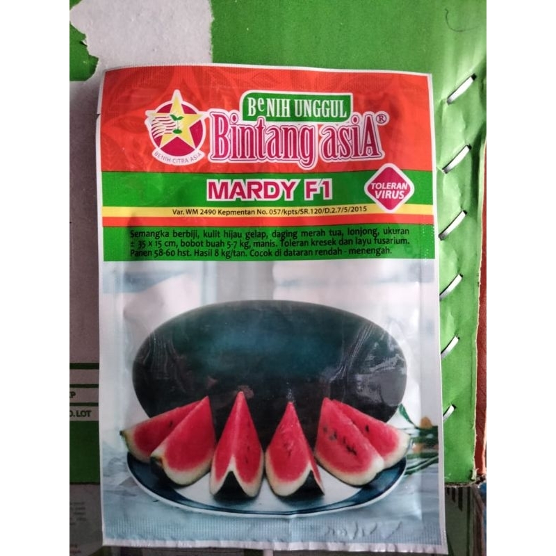 BENIH SEMANGKA MARDY F1