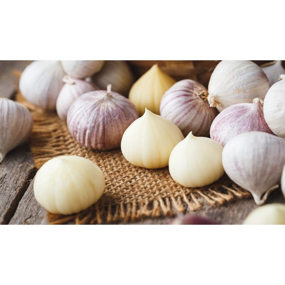 

Bawang Putih Tunggal Bawang Lanang Banyak Khasiat Multi Manfaat 500gr