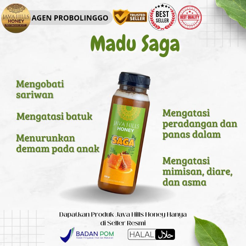 

Madu Saga Java Hills Honey madu amandel madu herbal madu untuk batuk dan peradangan madu untuk asma menurunkan demam pada anak dan dewasa mengatasi masalah pernafasan 320 gr