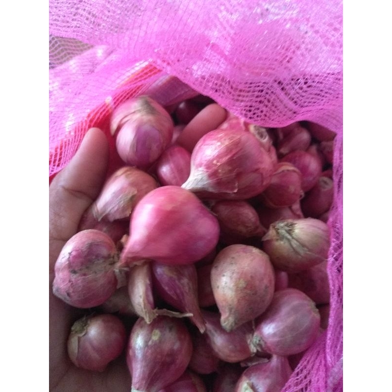 

Bawang Merah Brebes