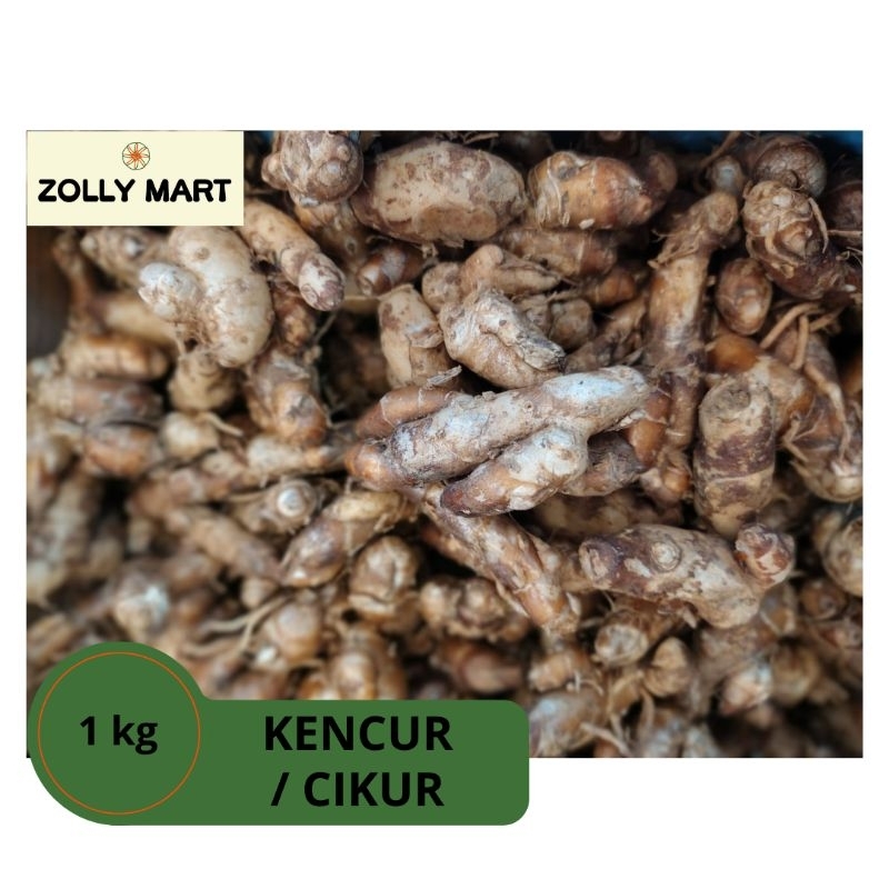 

ZOLLY MART - KENCUR SEGAR / CIKUR SEGER - 1KG