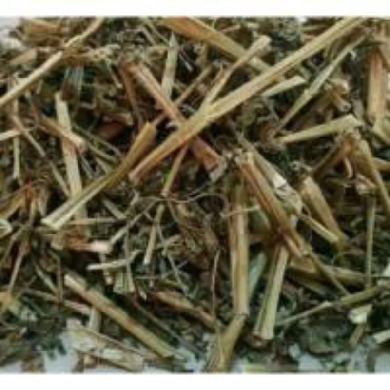 

100 gram pohon ciplukan kering obat herbal ,mengobati penyakit diabetes,paru-paru,ayan,dan lain-lain