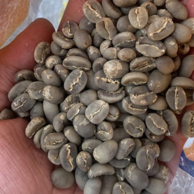 

GREENBEAN FW ARABIKA GALUNGGUNG 1Kg