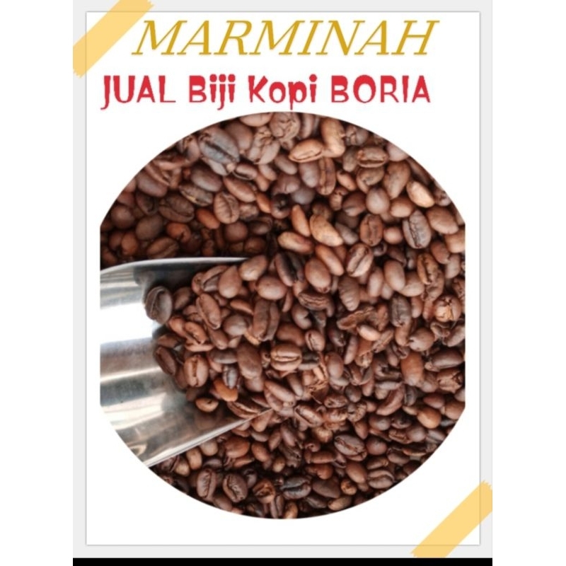 

Biji Kopi