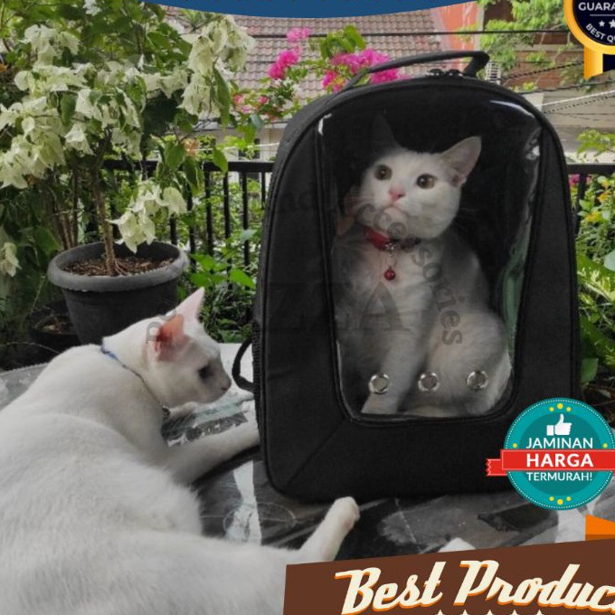 Unggul Tas Kucing Transparan Gratis Mainan Bola  Tas Hewan  Ransel Kucing  Tas Kucing