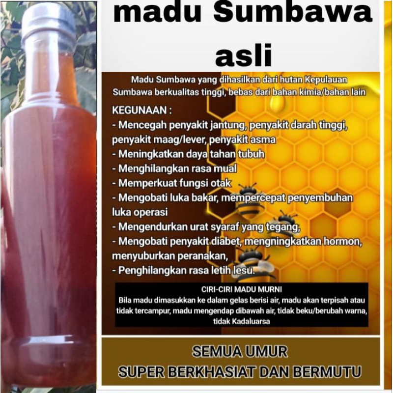 

MADU SUMBAWA ASLI