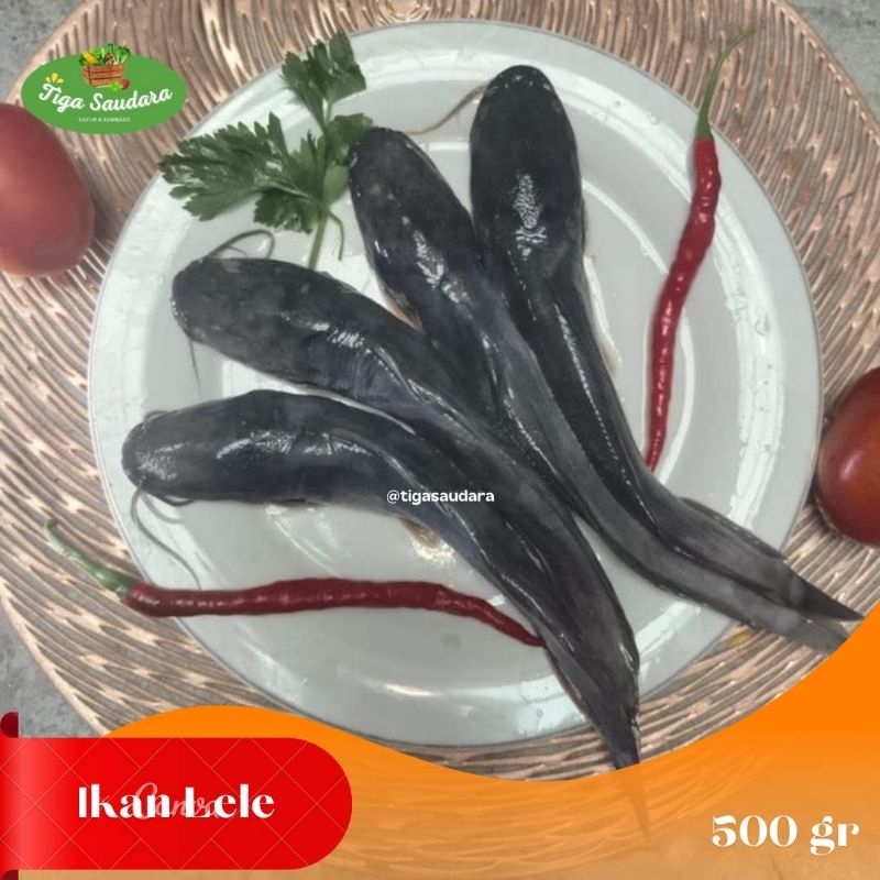 

Ikan Lele 500 gr | Sayuran Tiga Saudara| Pengiriman Cimahi