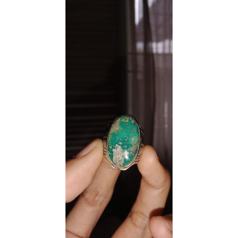 Pirus Persia Ijo Tua