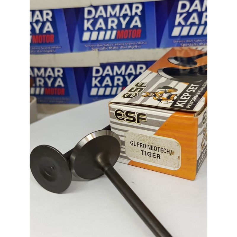 PAYUNG KLEP VALVE SET GLPRO NEOTECH / TIGER REVO ORIGINAL ESF